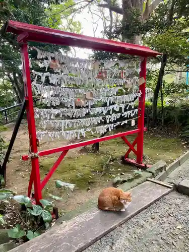 児玉神社のおみくじ