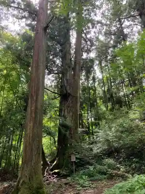 花園神社(茨城県)