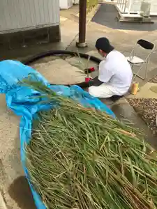 總社 和田八幡宮(福井県)(2022年06月23日(木) 13時37分23秒投稿)