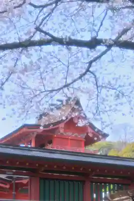 富士山本宮浅間大社(静岡県)