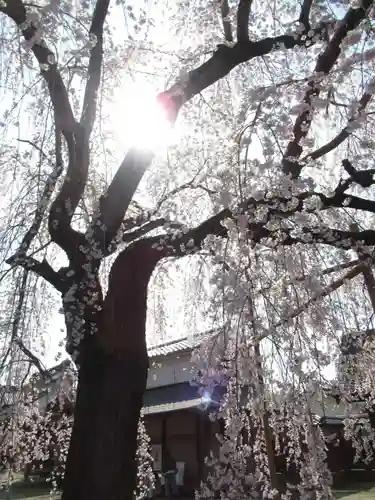 慶龍寺(茨城県)