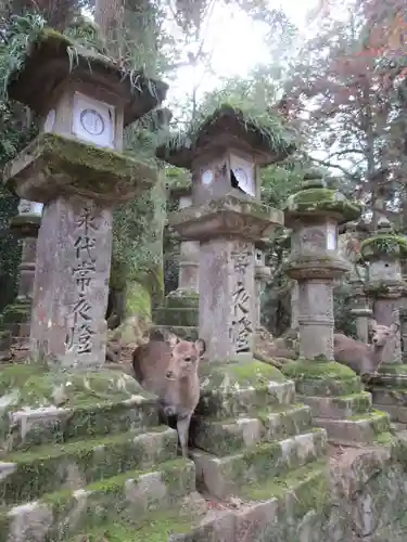 春日大社(奈良県)