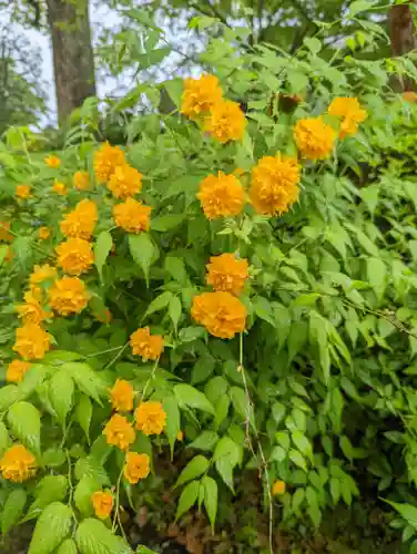 平等院(京都府)