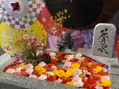 札幌諏訪神社の手水