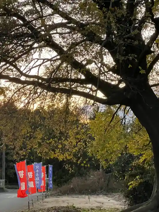 伏木香取神社(茨城県)