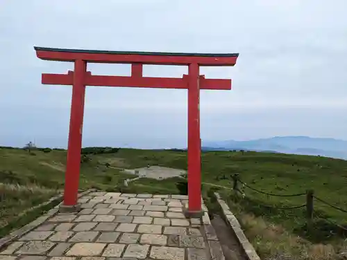 箱根元宮の鳥居