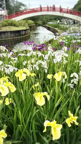 賀茂神社(愛知県)