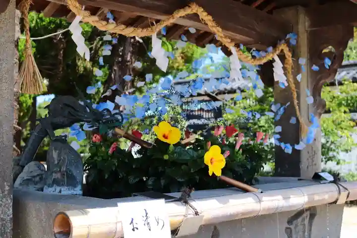 三津厳島神社(愛媛県)