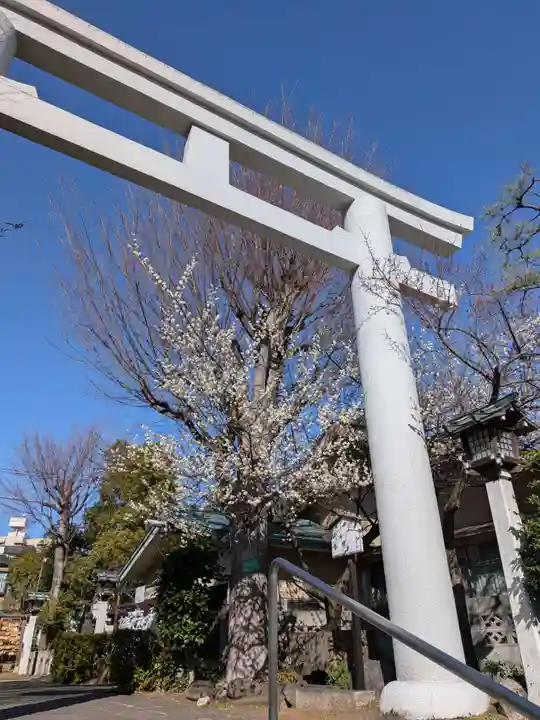 新宿下落合氷川神社(東京都)