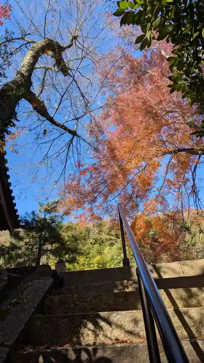 観音寺(山崎聖天)(京都府)