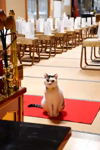 善成寺(東京都)