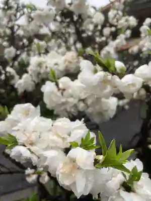 多治速比売神社(大阪府)