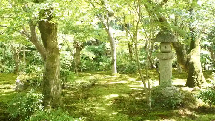 圓光寺(京都府)