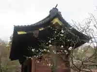 妙本寺の山門・神門