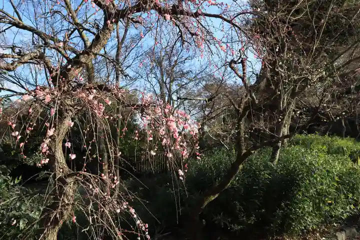 北野天満宮(京都府)