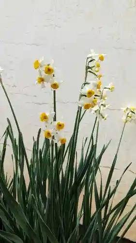 大松禅寺(京都府)