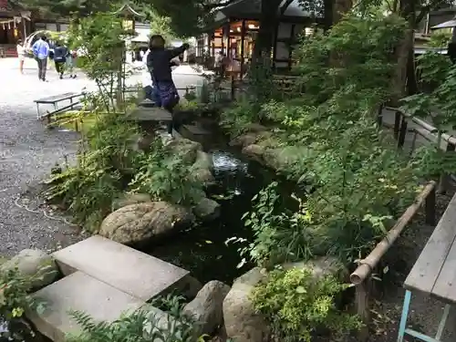 秩父神社のおみくじ