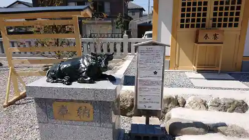 秩父今宮神社の狛犬