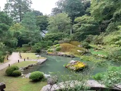 青蓮院門跡の庭園