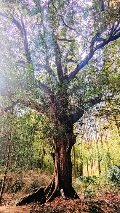 七百餘所神社 の自然