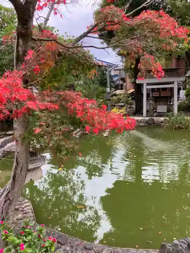 神館神社の庭園