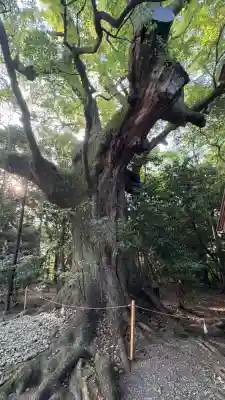 月夜見宮（豊受大神宮別宮）(三重県)