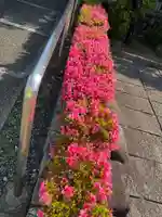 西方山極楽寺(岐阜県)