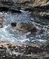 江島神社の自然