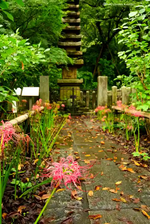 高幡不動尊 金剛寺(東京都)