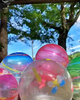 立志神社(滋賀県)