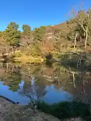 高台寺（高台寿聖禅寺・高臺寺）(京都府)