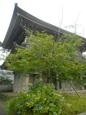 光明寺の山門・神門