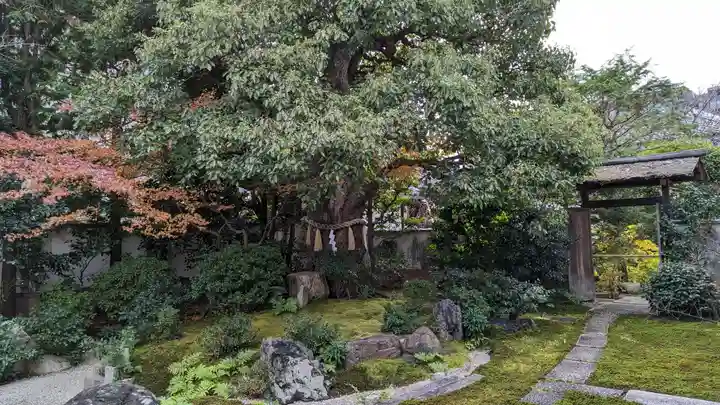 慈受院門跡(京都府)