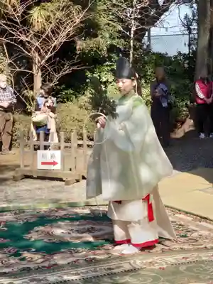 座間神社(神奈川県)