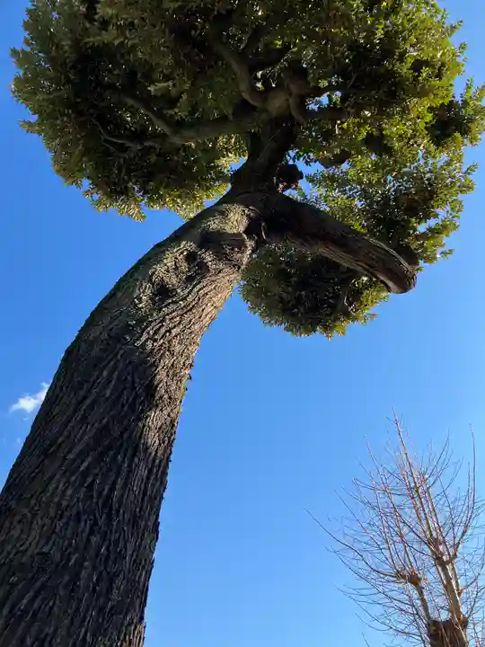 香取神社(東京都)