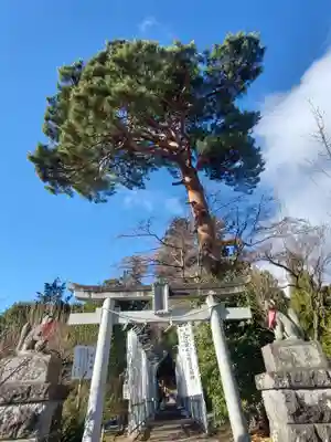 開成山大神宮(福島県)