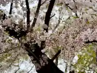大鷲神社の{uncategorized: "未分類", other: "その他", undefined: "問題あり", building: "その他建物", grave: "お墓", sacred_gate: "鳥居", guardian: "狛犬", statue: "像", buddha: "仏像", history: "歴史", nature: "自然", garden: "庭園", animal: "動物", pagoda: "塔", temizu: "手水舎", mountain_gate: "山門・神門", sanctuary: "本殿・本堂", subordinate: "末社・摂社", art: "芸術", scenery: "景色", jizo: "地蔵", ema: "絵馬", goshuin: "御朱印", omikuji: "おみくじ", items: "授与品その他", amulet: "お守り", goshuincho: "御朱印帳", eats: "食事", festival: "お祭り", votive_dance: "神楽", shichigosan: "七五三参", wedding: "結婚式", experience: "体験その他", initially: "初詣", around: "周辺", anti_infection: "感染症対策"}