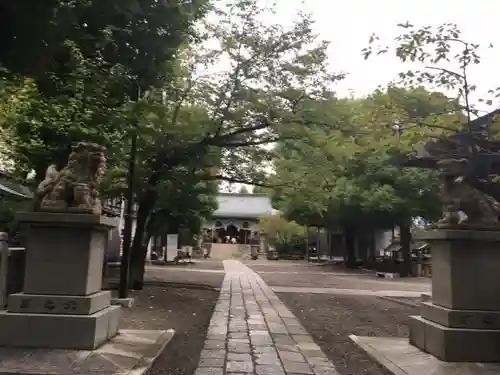 亀戸 香取神社の狛犬