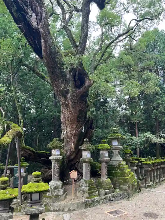 春日若宮神社のその他建物
