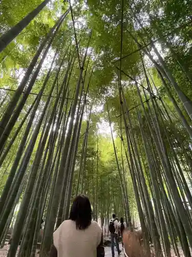 報国寺(神奈川県)