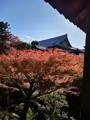 東福禅寺（東福寺）(京都府)