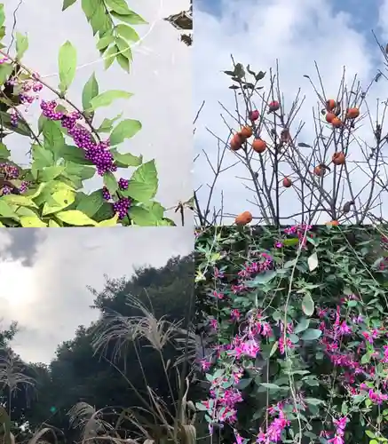 南沢氷川神社のその他建物