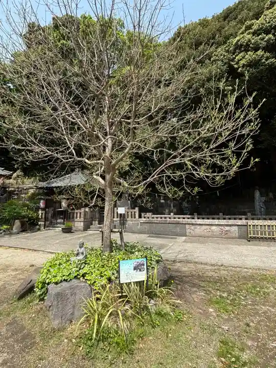 瀧泉寺(目黒不動尊)(東京都)