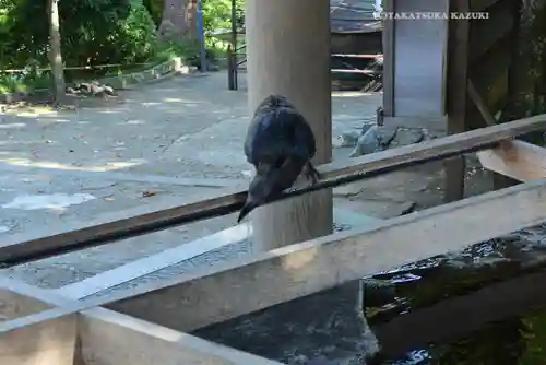 伊勢山皇大神宮(神奈川県)