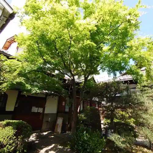 宝蔵寺(京都府)