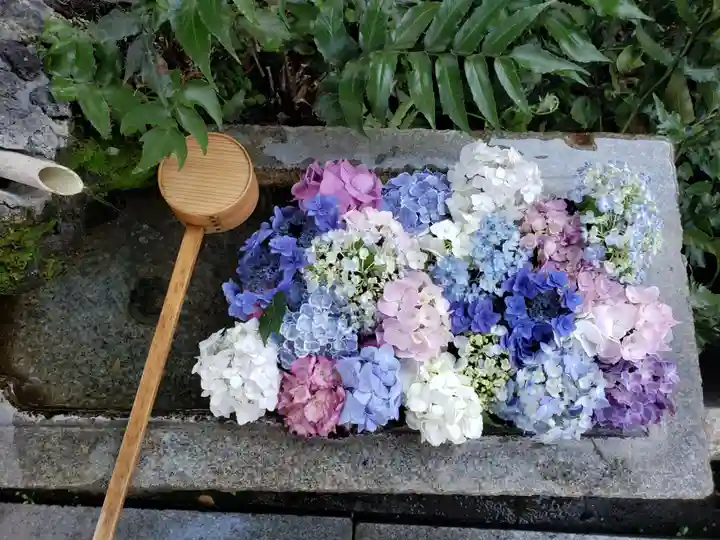 本郷氷川神社(東京都)