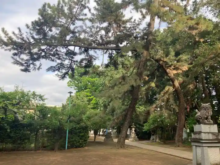 天祖若宮八幡宮(東京都)
