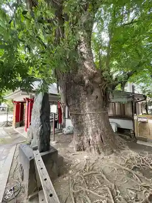 品川寺(東京都)