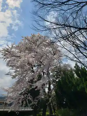 十二神社の自然