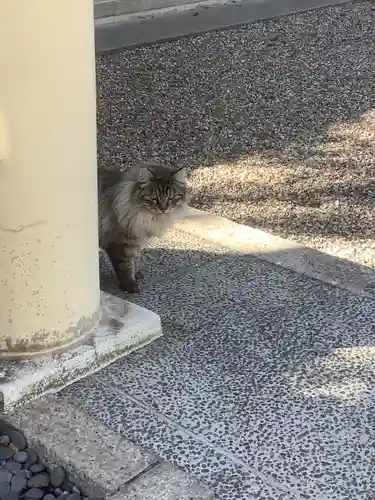 六所社（下飯田）の動物